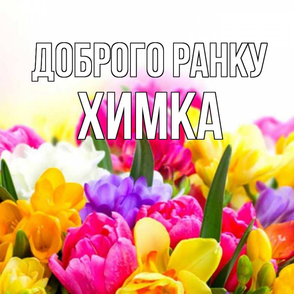 Открытка на каждый день з підписом, Химка Доброго ранку создать открытку со свое подписью Прикольна листівка з побажанням онлайн скачати безкоштовно 