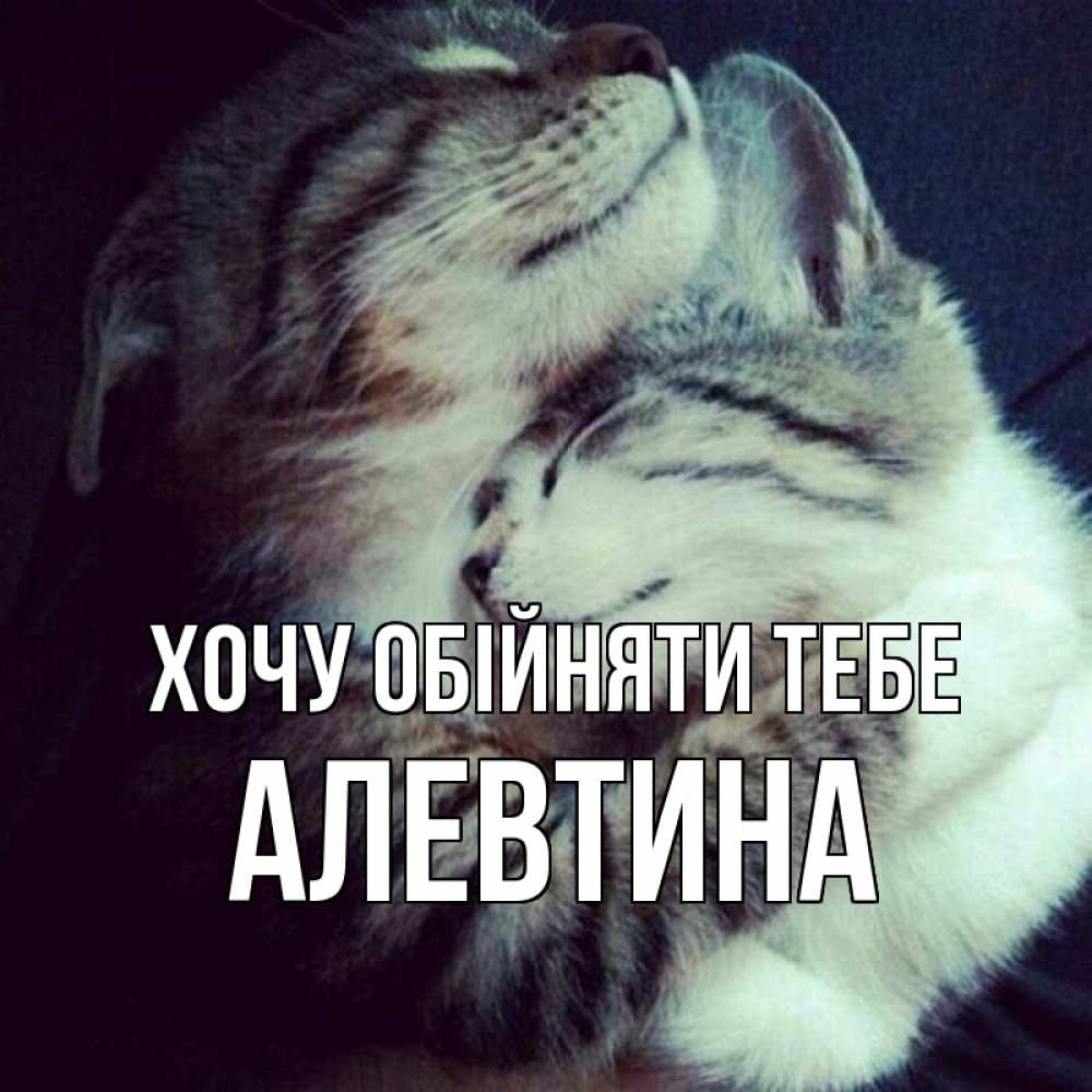 Открытка на каждый день з підписом, Алевтина Хочу обійняти тебе полосатики Прикольна листівка з побажанням онлайн скачати безкоштовно 