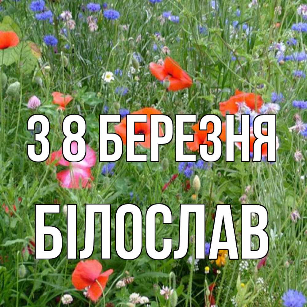 Открытка на каждый день з підписом, Білослав З 8 БЕРЕЗНЯ международный женский день 4 Прикольна листівка з побажанням онлайн скачати безкоштовно 