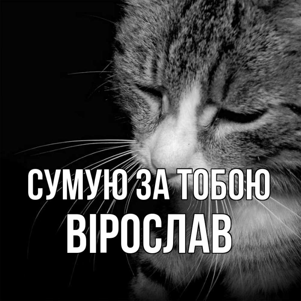 Открытка на каждый день з підписом, Вірослав Сумую за тобою мне скучно Прикольна листівка з побажанням онлайн скачати безкоштовно 