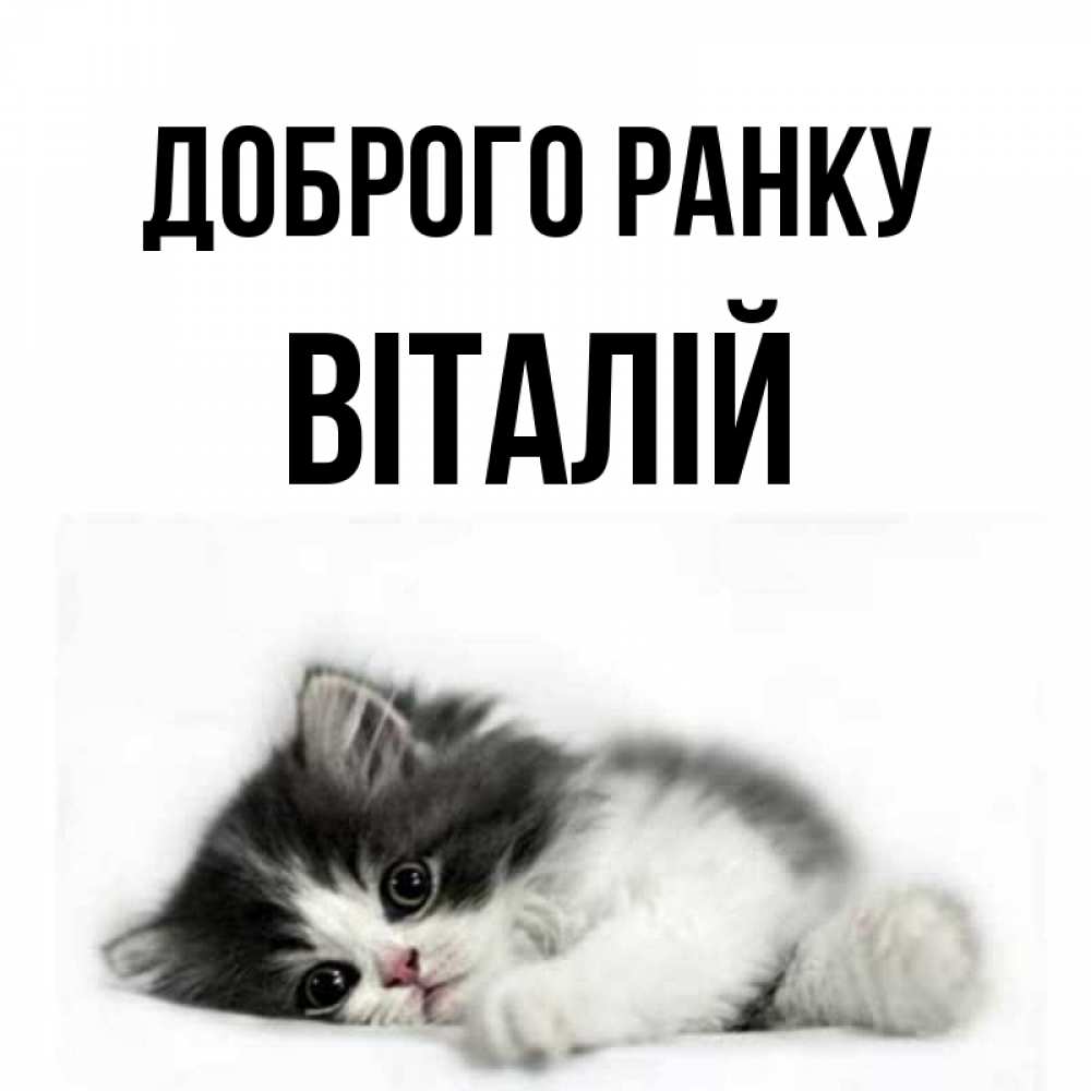 Открытка на каждый день з підписом, Віталій Доброго ранку кот лапки Прикольна листівка з побажанням онлайн скачати безкоштовно 