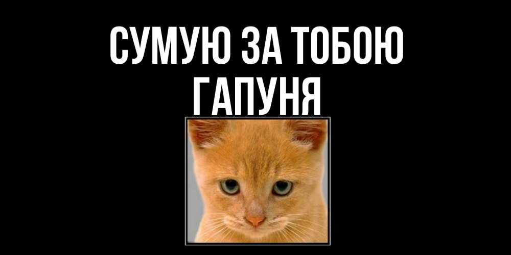 Открытка на каждый день з підписом, Гапуня Сумую за тобою открытки рыжий котенок скучает по тебе Прикольна листівка з побажанням онлайн скачати безкоштовно 