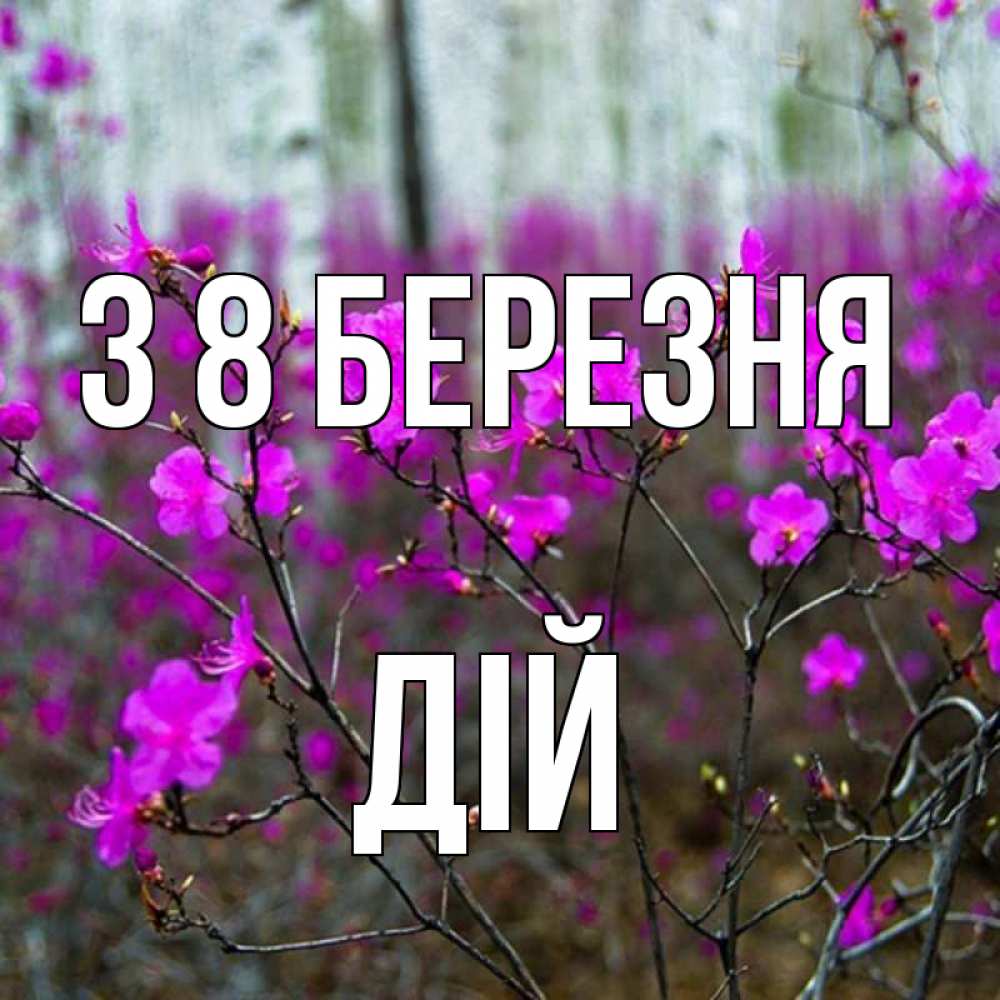 Открытка на каждый день з підписом, Дій З 8 БЕРЕЗНЯ дикие цветы Прикольна листівка з побажанням онлайн скачати безкоштовно 