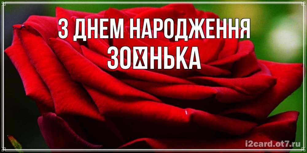 Открытка на каждый день з підписом, Зоєнька З Днем народження розочка очень красивая Прикольна листівка з побажанням онлайн скачати безкоштовно 
