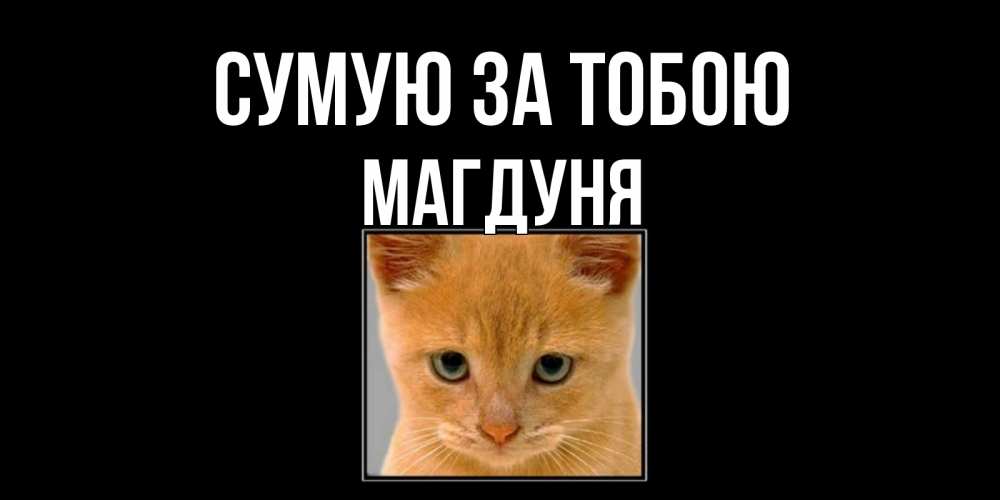 Открытка на каждый день з підписом, Магдуня Сумую за тобою открытки рыжий котенок скучает по тебе Прикольна листівка з побажанням онлайн скачати безкоштовно 