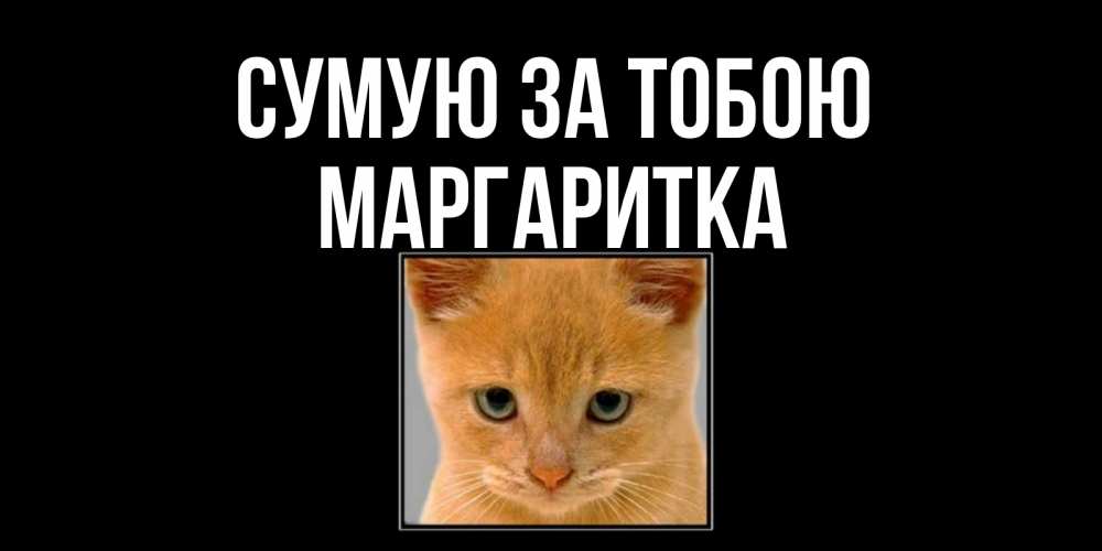 Открытка на каждый день з підписом, Маргаритка Сумую за тобою открытки рыжий котенок скучает по тебе Прикольна листівка з побажанням онлайн скачати безкоштовно 