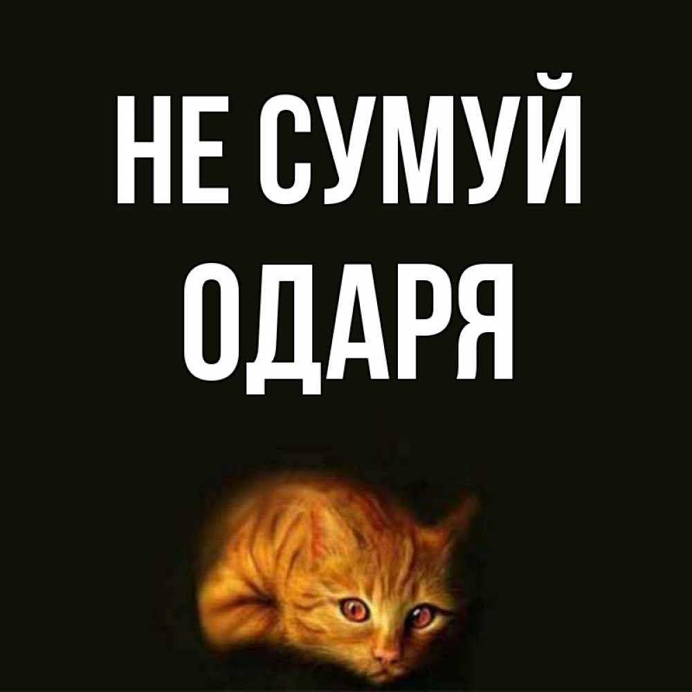 Открытка на каждый день з підписом, Одаря Не сумуй лежащий кот в темноте Прикольна листівка з побажанням онлайн скачати безкоштовно 