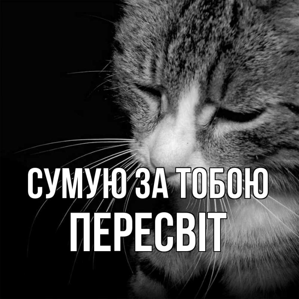Открытка на каждый день з підписом, Пересвіт Сумую за тобою мне скучно Прикольна листівка з побажанням онлайн скачати безкоштовно 