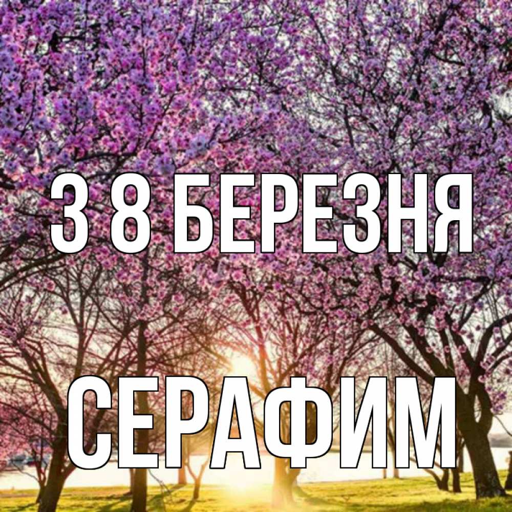Открытка на каждый день з підписом, Серафим З 8 БЕРЕЗНЯ международный женский день Прикольна листівка з побажанням онлайн скачати безкоштовно 