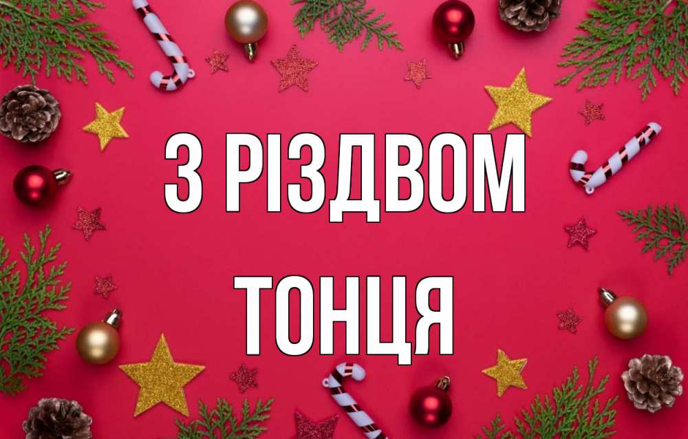 Открытка на каждый день з підписом, Тонця З Різдвом с рождеством Прикольна листівка з побажанням онлайн скачати безкоштовно 