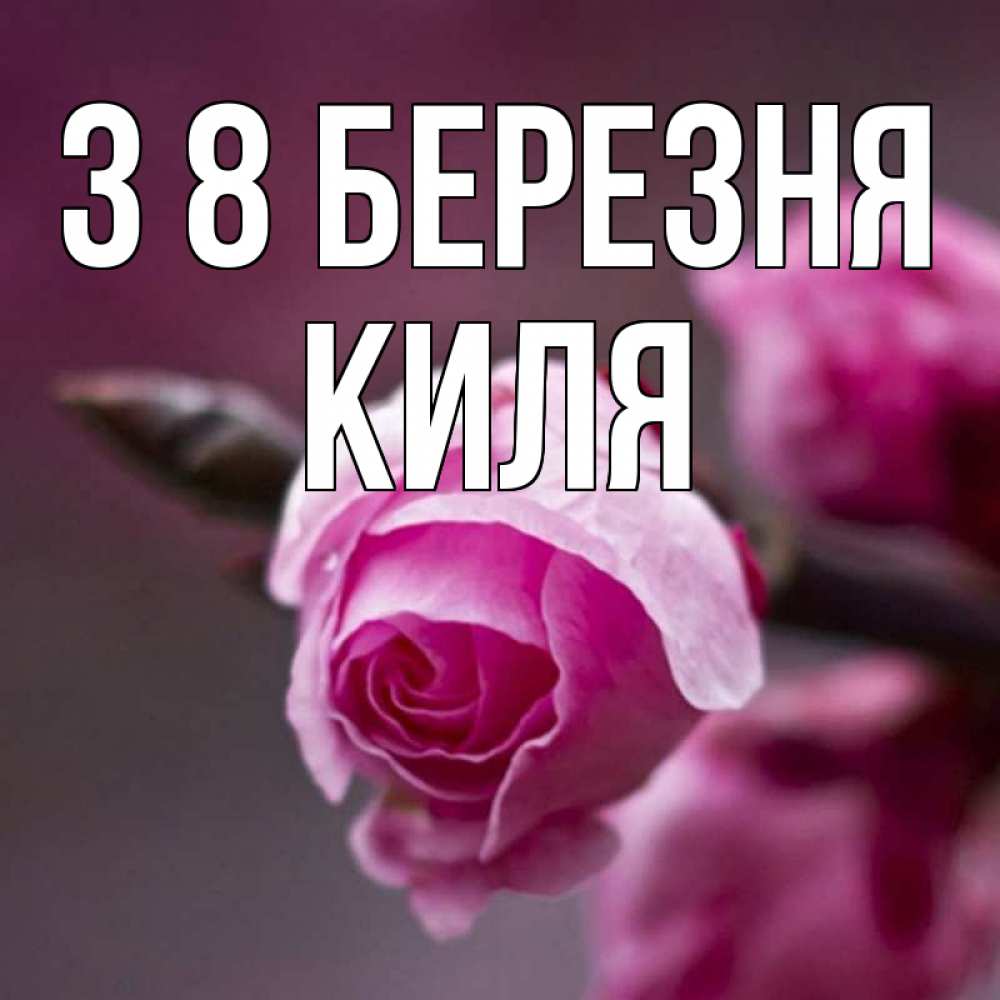 Открытка на каждый день з підписом, Киля З 8 БЕРЕЗНЯ весна Прикольна листівка з побажанням онлайн скачати безкоштовно 