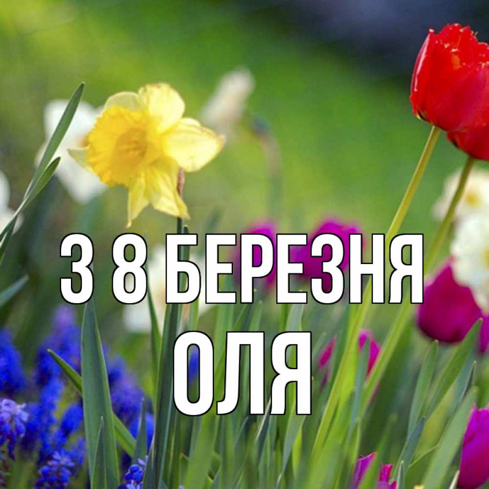 Открытка на каждый день з підписом, Оля З 8 БЕРЕЗНЯ международный женский день 3 Прикольна листівка з побажанням онлайн скачати безкоштовно 