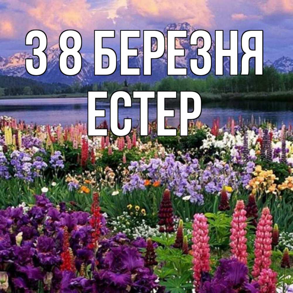 Открытка на каждый день з підписом, Естер З 8 БЕРЕЗНЯ международный женский день Прикольна листівка з побажанням онлайн скачати безкоштовно 