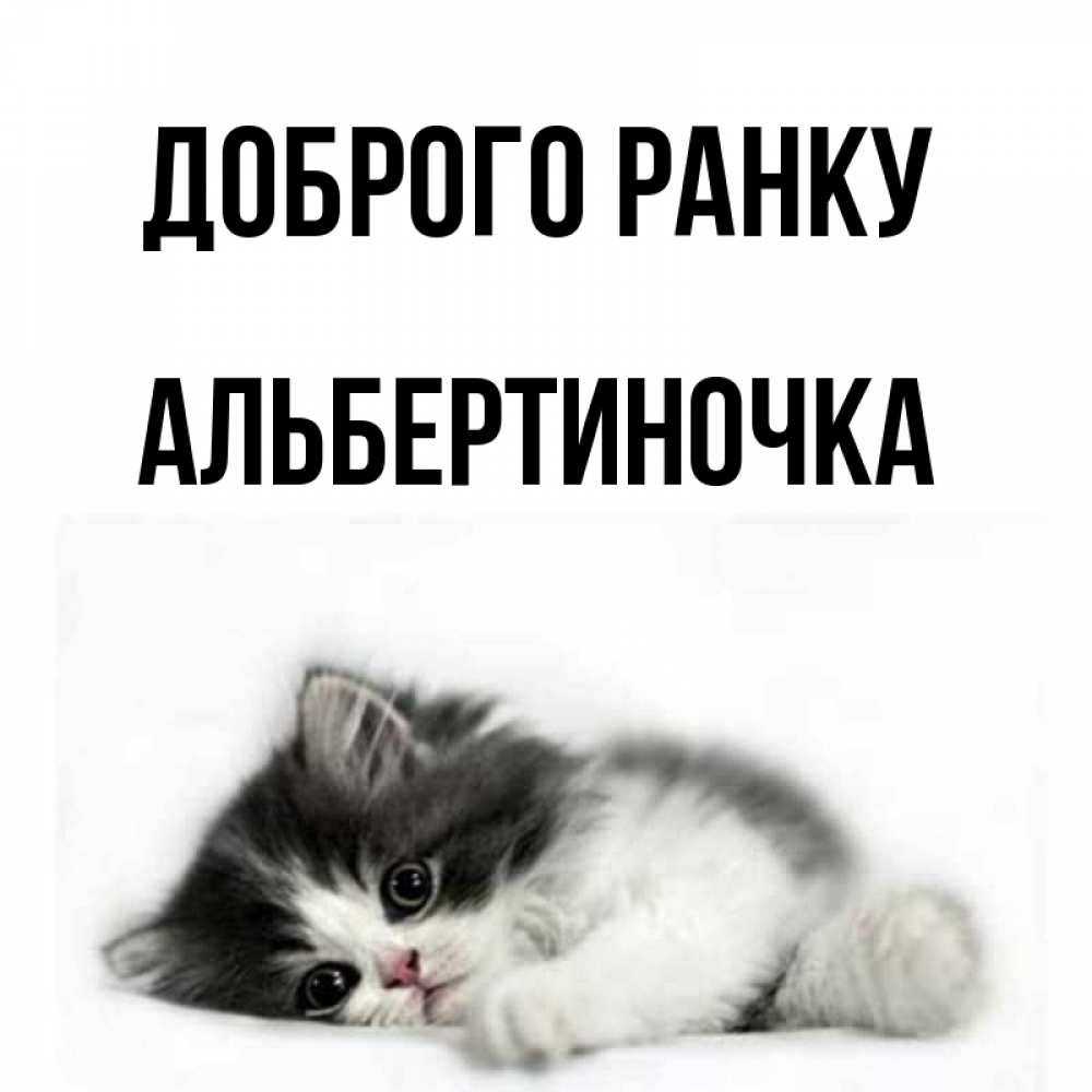 Открытка на каждый день з підписом, Альбертиночка Доброго ранку кот лапки Прикольна листівка з побажанням онлайн скачати безкоштовно 