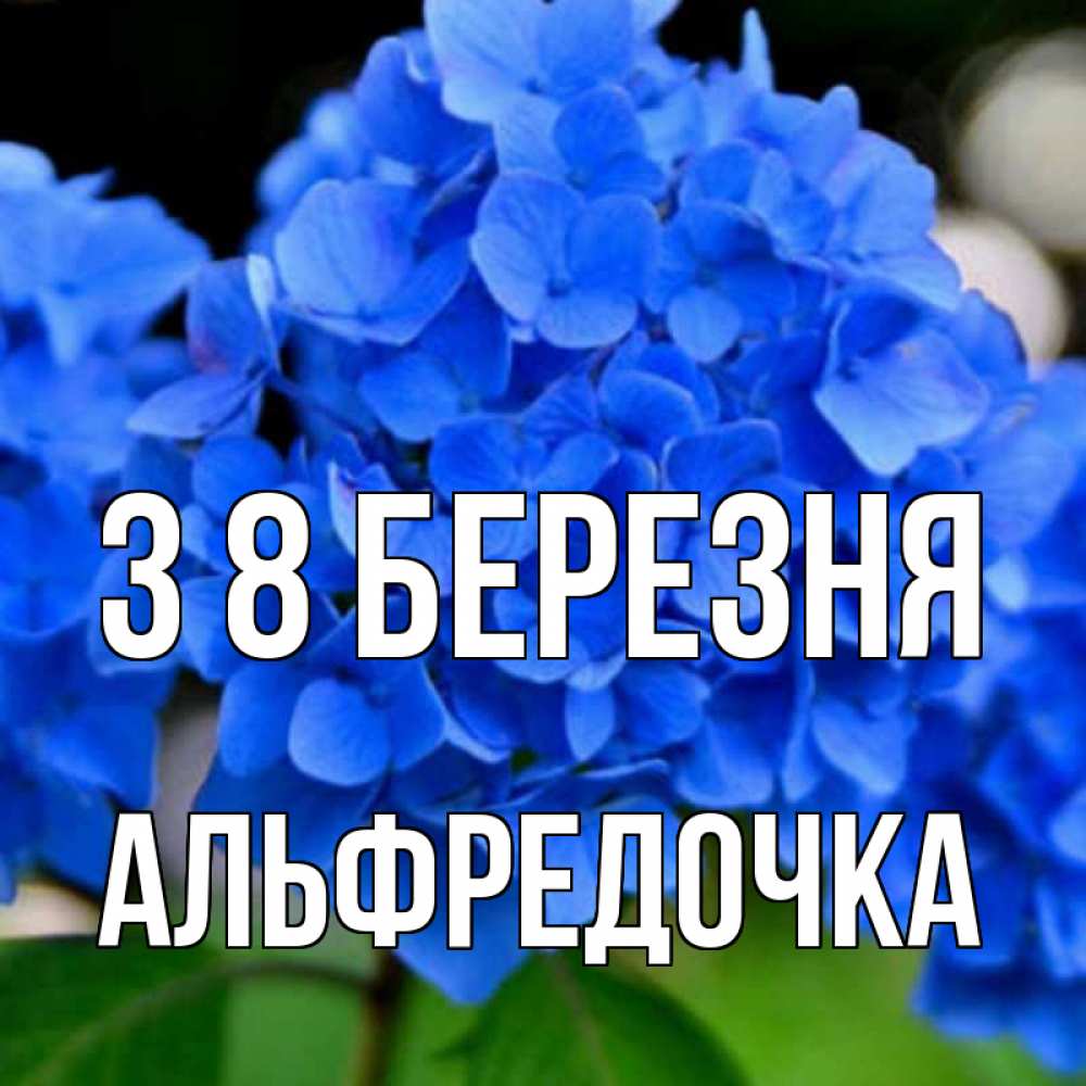 Открытка на каждый день з підписом, Альфредочка З 8 БЕРЕЗНЯ синие цветы Прикольна листівка з побажанням онлайн скачати безкоштовно 