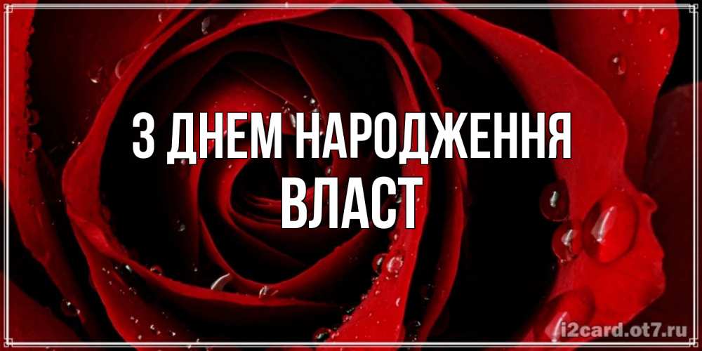 Открытка на каждый день з підписом, Власт З Днем народження крупная бордовая роза Прикольна листівка з побажанням онлайн скачати безкоштовно 
