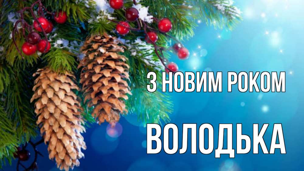 Открытка на каждый день з підписом, Володька З новим роком Новый год, ель, шишки Прикольна листівка з побажанням онлайн скачати безкоштовно 