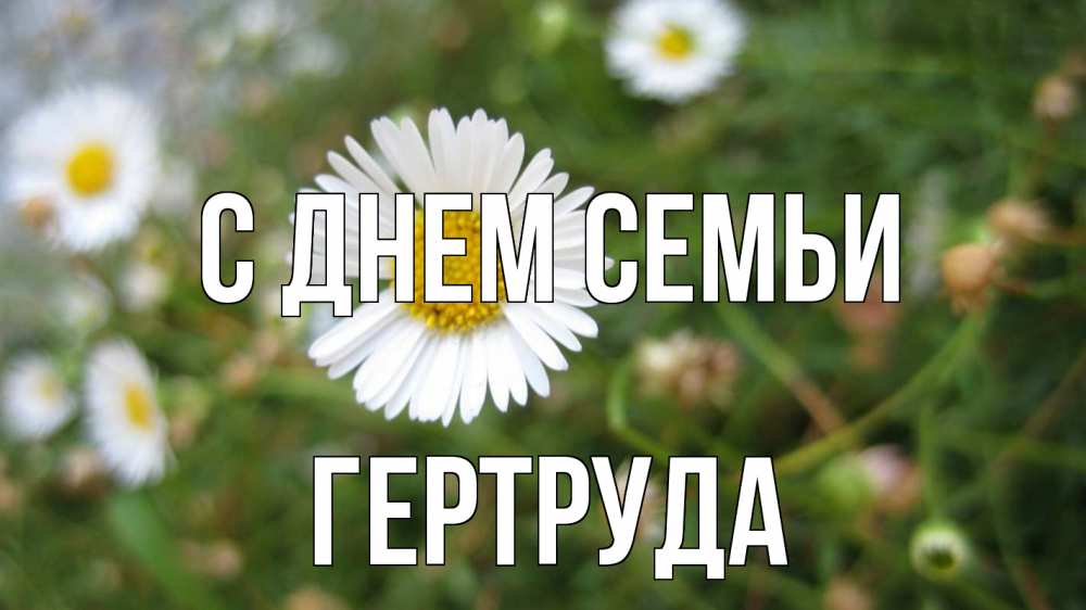 Открытка на каждый день з підписом, Гертруда С днем семьи с днем семьи Прикольна листівка з побажанням онлайн скачати безкоштовно 