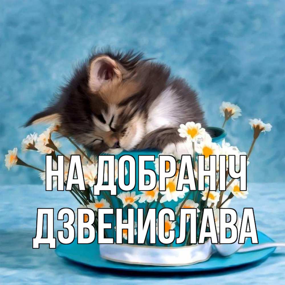Открытка на каждый день з підписом, Дзвенислава На добраніч котенок спит в кружке с блюдцем Прикольна листівка з побажанням онлайн скачати безкоштовно 