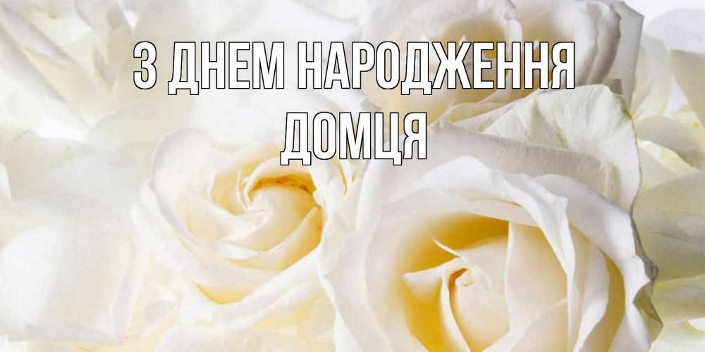 Открытка на каждый день з підписом, Домця З Днем народження открыточки на день рождения любимым Прикольна листівка з побажанням онлайн скачати безкоштовно 