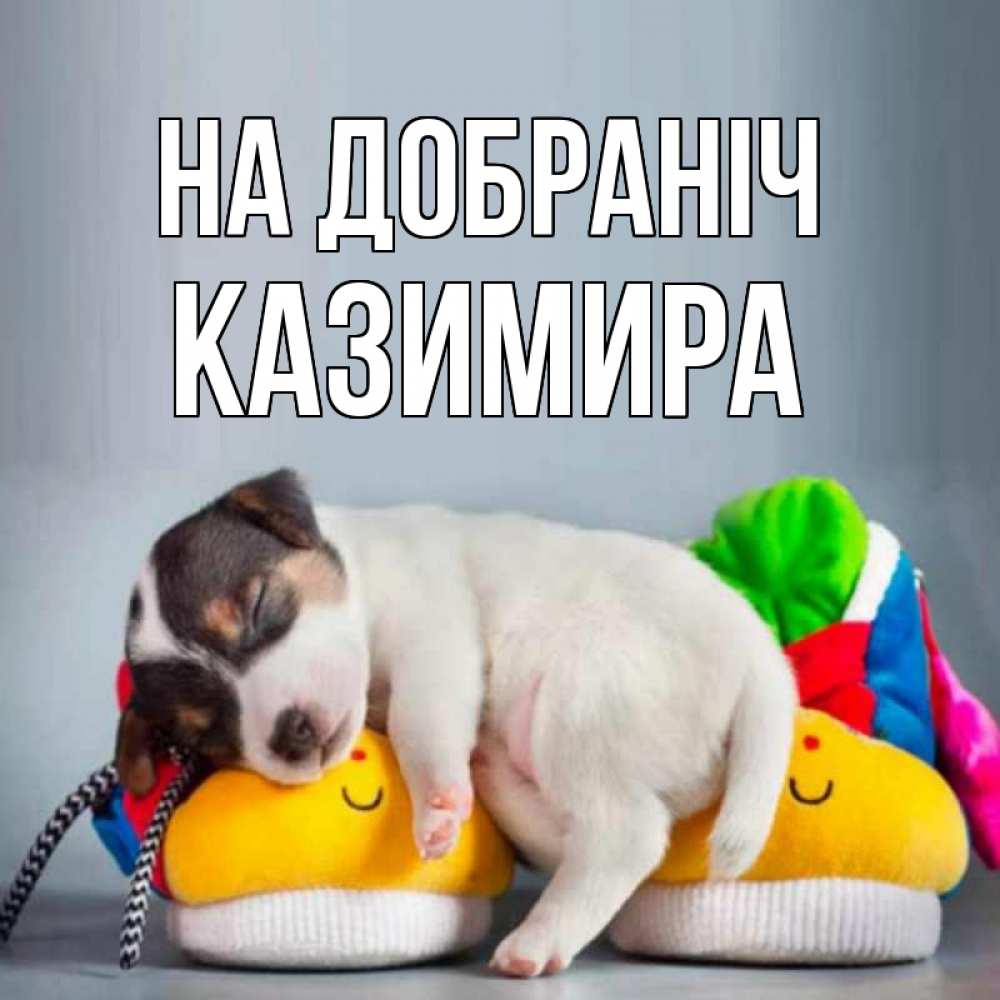 Открытка на каждый день з підписом, Казимира На добраніч собачка Прикольна листівка з побажанням онлайн скачати безкоштовно 