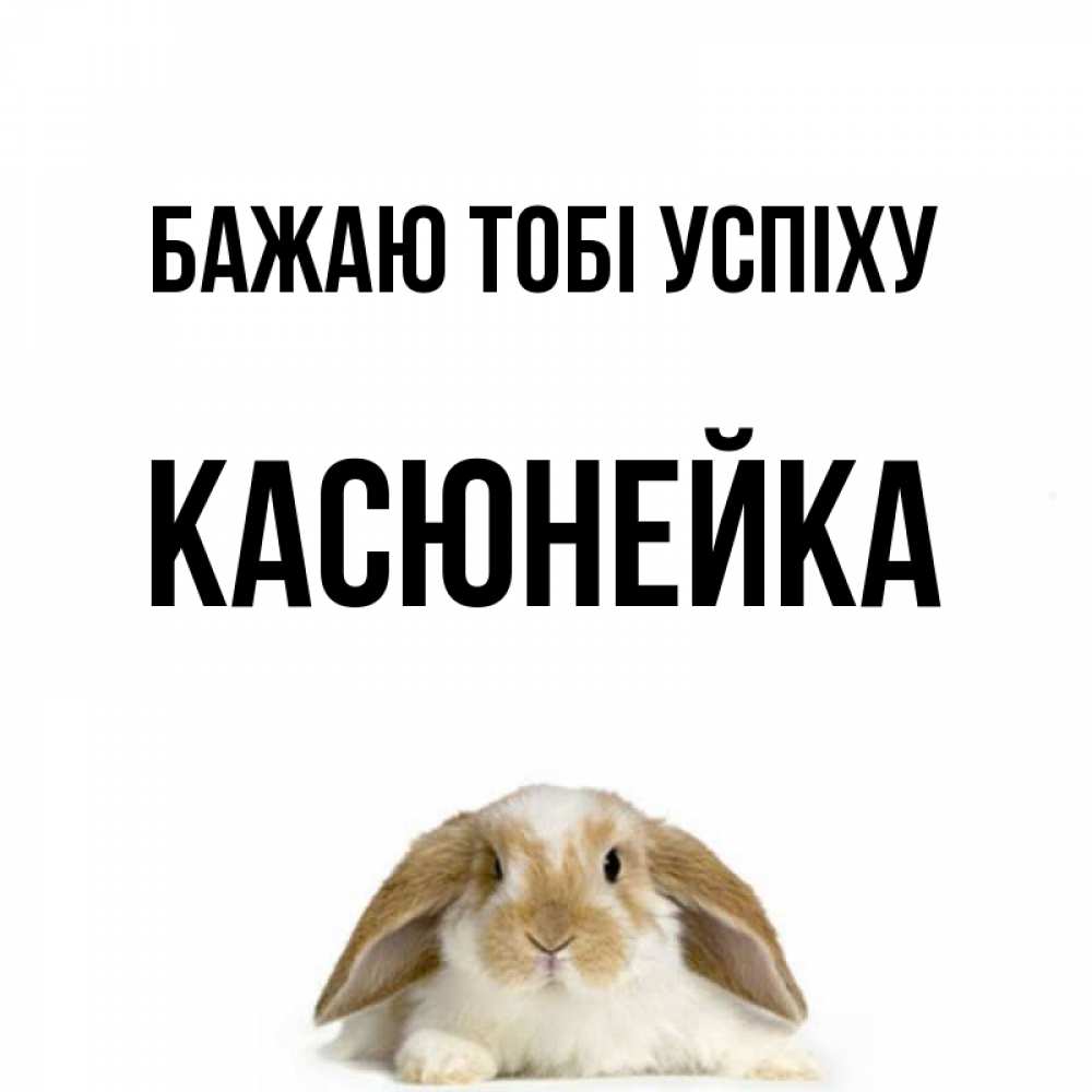 Открытка на каждый день з підписом, Касюнейка Бажаю тобі успіху открытки с произвольным текстом который можно вставить в открытку и создать ее самостоятельно бесплатно онлайн Прикольна листівка з побажанням онлайн скачати безкоштовно 