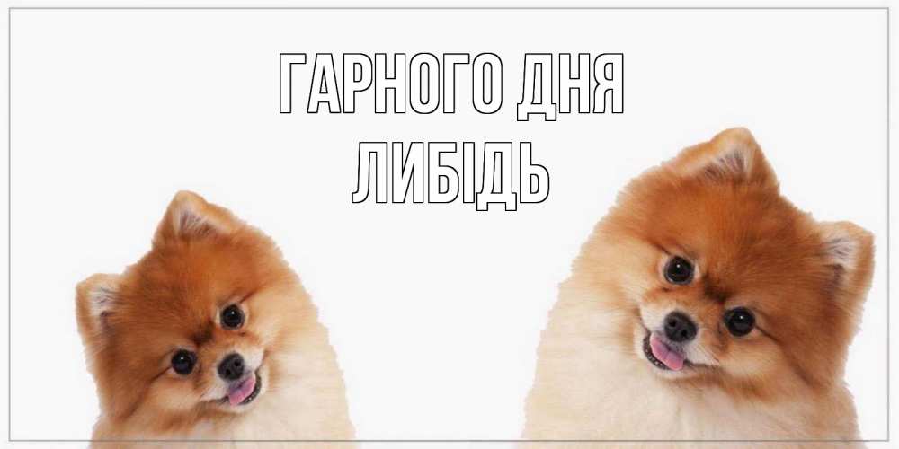 Открытка на каждый день з підписом, Либідь Гарного дня собачки желают прекрасного дня Прикольна листівка з побажанням онлайн скачати безкоштовно 