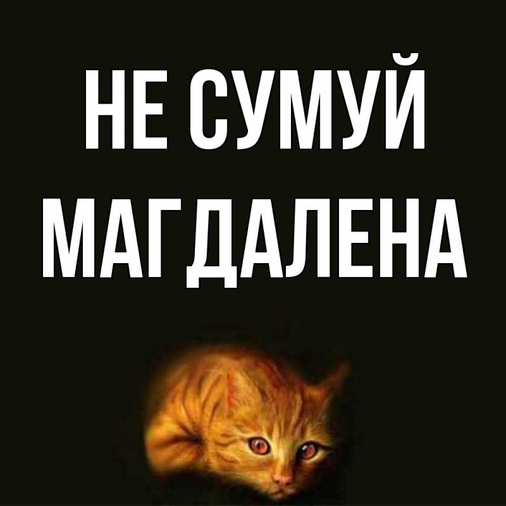 Открытка на каждый день з підписом, Магдалена Не сумуй лежащий кот в темноте Прикольна листівка з побажанням онлайн скачати безкоштовно 