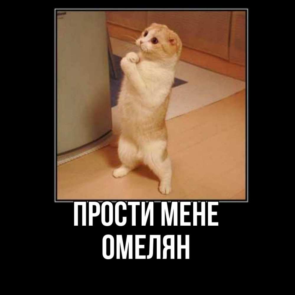 Открытка на каждый день з підписом, Омелян Прости мене открытка с милым несчастным котиком просящим прощения Прикольна листівка з побажанням онлайн скачати безкоштовно 