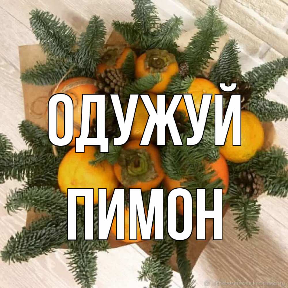 Открытка на каждый день з підписом, Пимон Одужуй апельсины и хурьма Прикольна листівка з побажанням онлайн скачати безкоштовно 