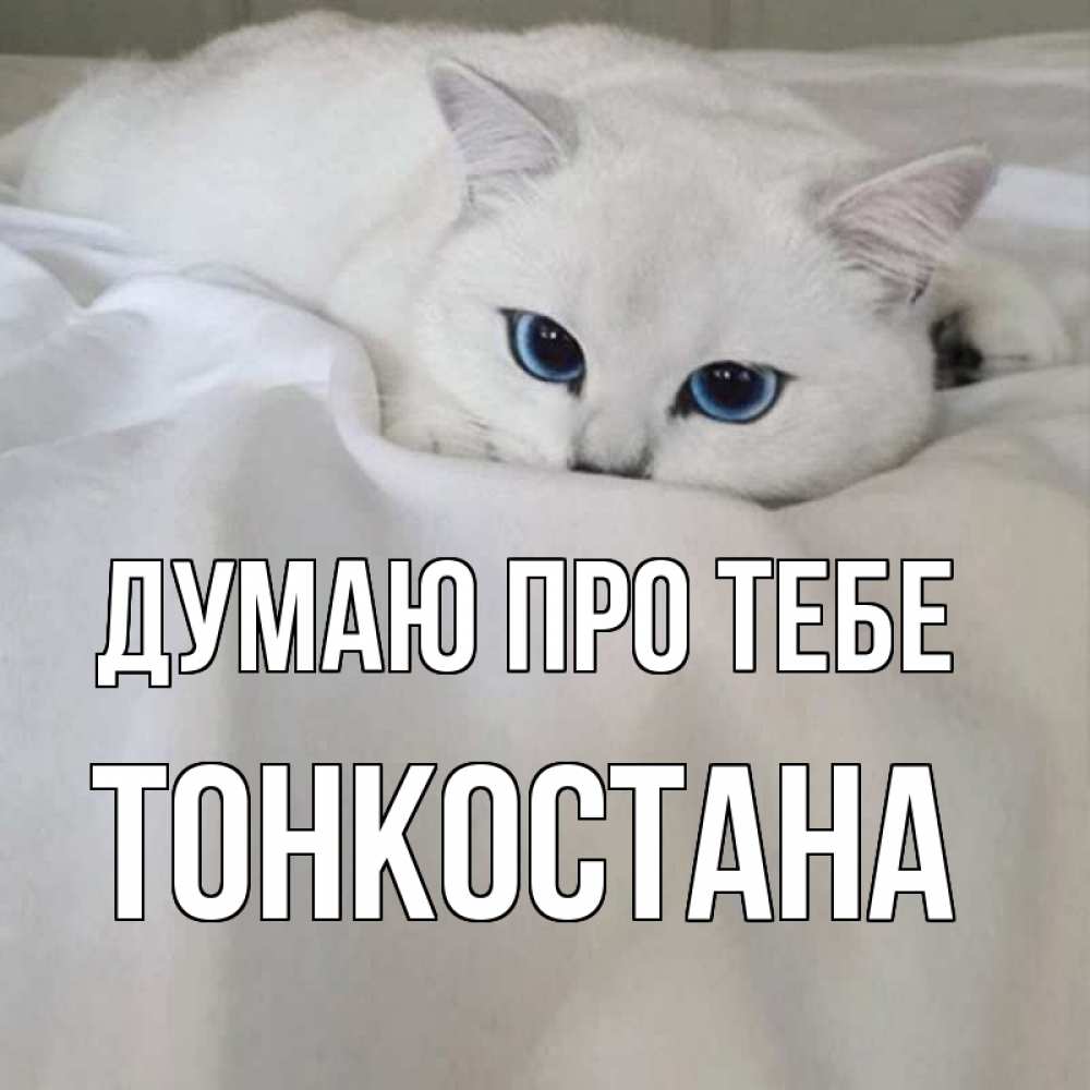 Открытка на каждый день з підписом, Тонкостана Думаю про тебе я очень по тебе скучаю и тоскую Прикольна листівка з побажанням онлайн скачати безкоштовно 