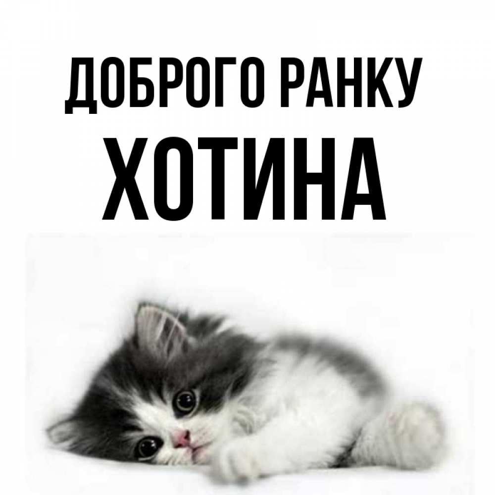 Открытка на каждый день з підписом, Хотина Доброго ранку кот лапки Прикольна листівка з побажанням онлайн скачати безкоштовно 
