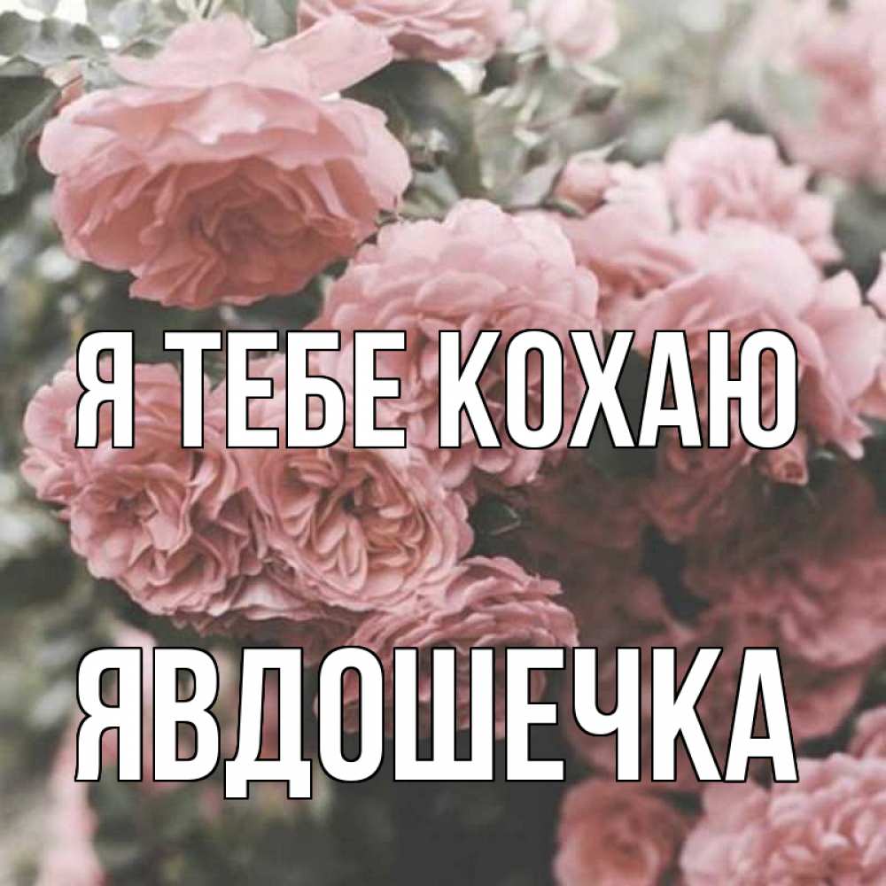 Открытка на каждый день з підписом, Явдошечка Я тебе кохаю розы 3 Прикольна листівка з побажанням онлайн скачати безкоштовно 