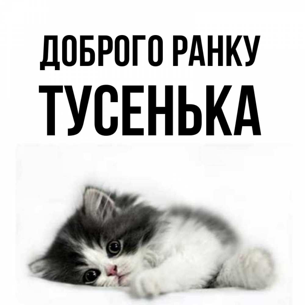 Открытка на каждый день з підписом, Тусенька Доброго ранку кот лапки Прикольна листівка з побажанням онлайн скачати безкоштовно 