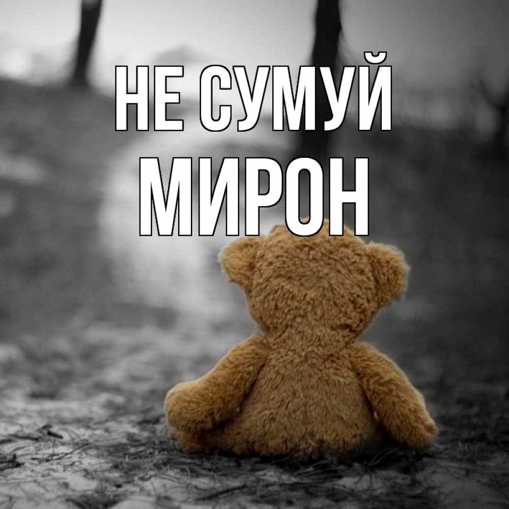 Открытка на каждый день з підписом, Мирон Не сумуй медведь со спин Прикольна листівка з побажанням онлайн скачати безкоштовно 