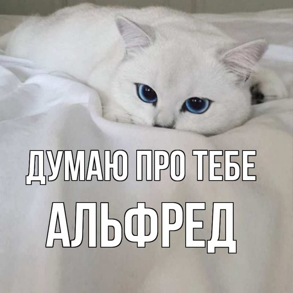 Открытка на каждый день з підписом, Альфред Думаю про тебе я очень по тебе скучаю и тоскую Прикольна листівка з побажанням онлайн скачати безкоштовно 