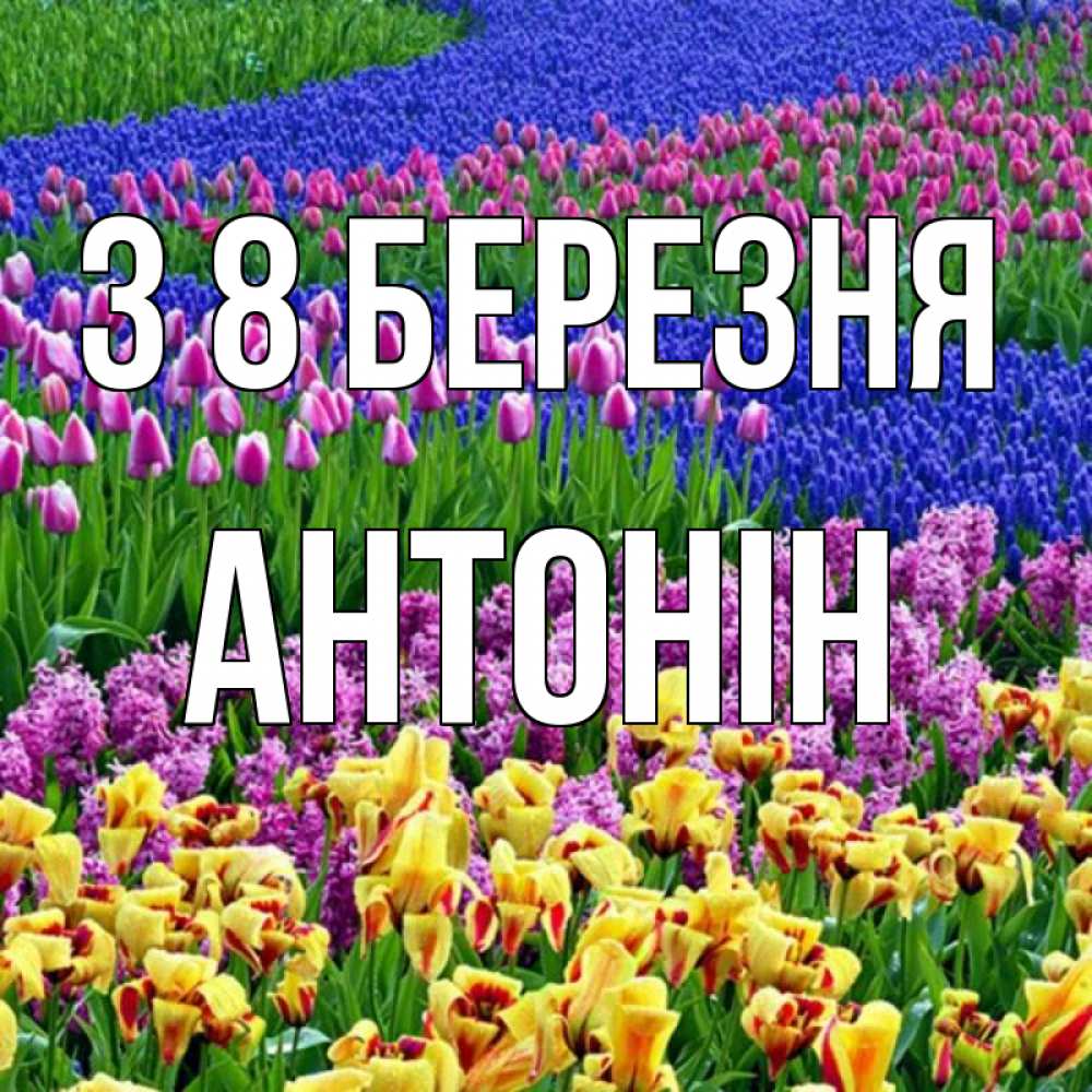 Открытка на каждый день з підписом, Антонін З 8 БЕРЕЗНЯ цветы Прикольна листівка з побажанням онлайн скачати безкоштовно 