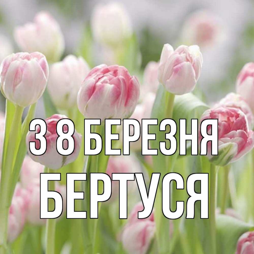 Открытка на каждый день з підписом, Бертуся З 8 БЕРЕЗНЯ цветы Прикольна листівка з побажанням онлайн скачати безкоштовно 