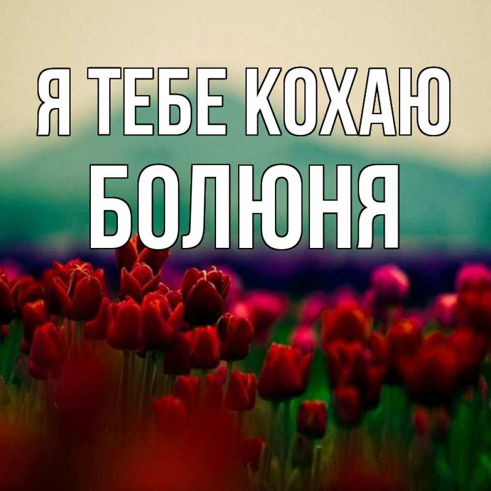 Открытка на каждый день з підписом, Болюня Я тебе кохаю тюльпаны 4 Прикольна листівка з побажанням онлайн скачати безкоштовно 