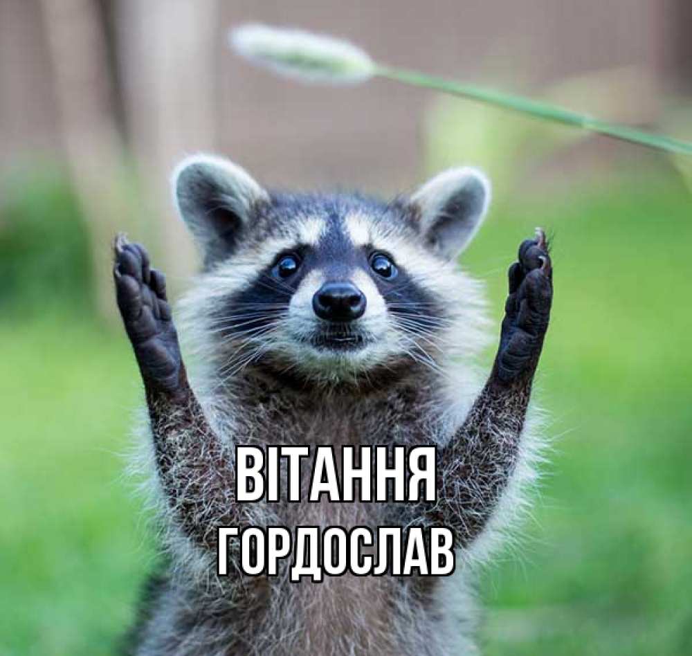 Открытка на каждый день з підписом, Гордослав Вітання животные Прикольна листівка з побажанням онлайн скачати безкоштовно 