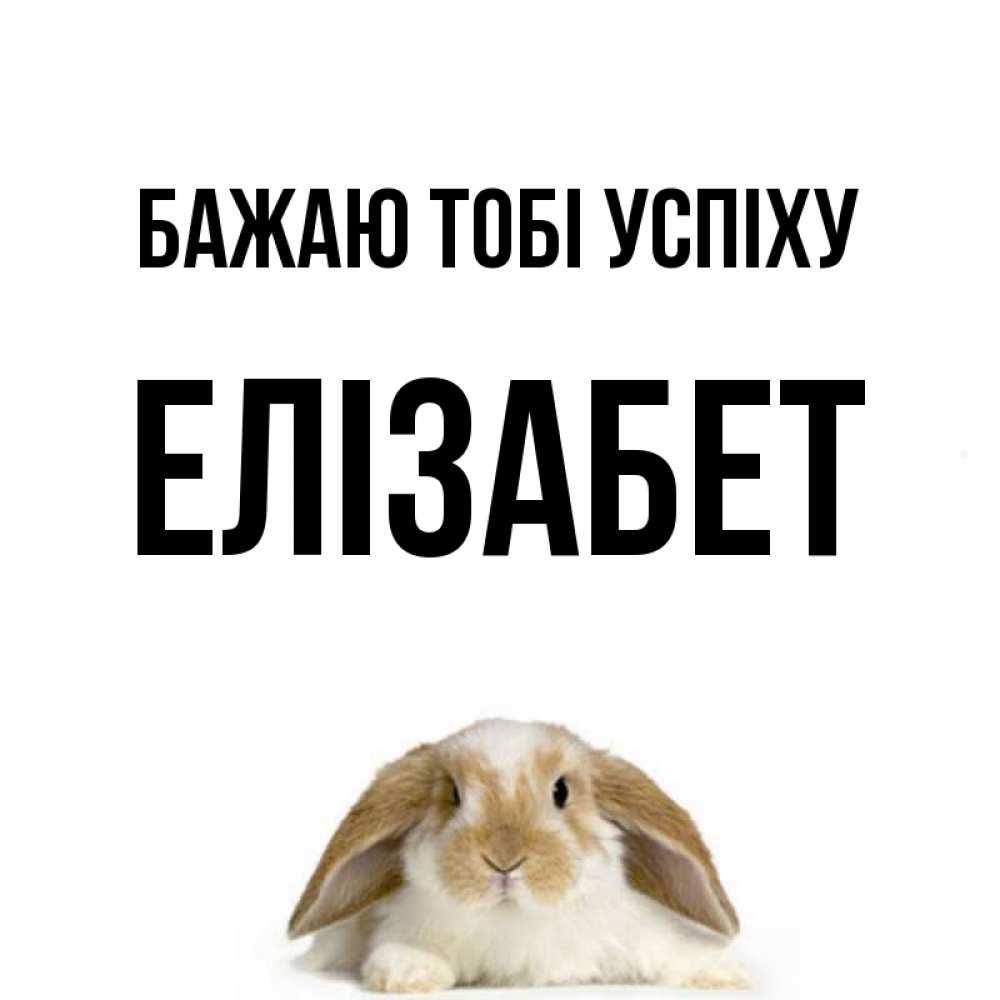 Открытка на каждый день з підписом, Елізабет Бажаю тобі успіху открытки с произвольным текстом который можно вставить в открытку и создать ее самостоятельно бесплатно онлайн Прикольна листівка з побажанням онлайн скачати безкоштовно 