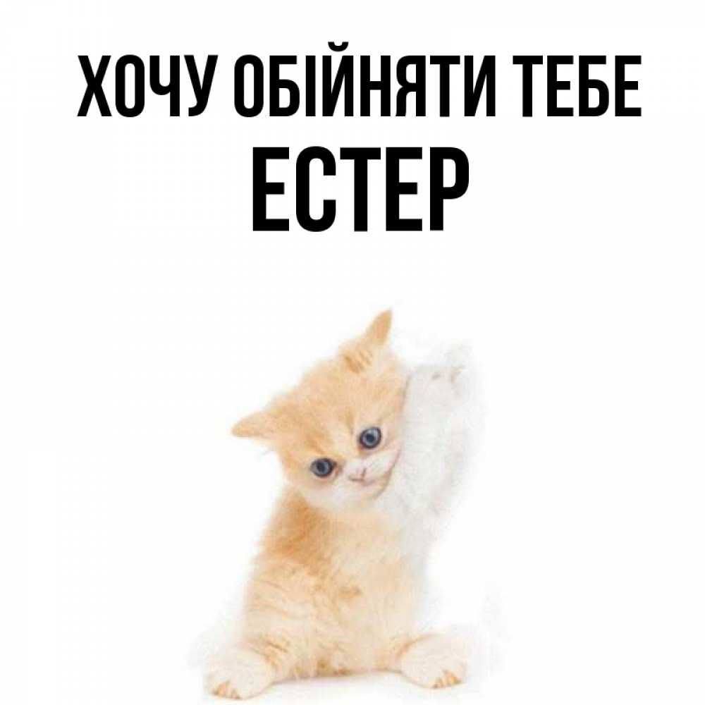 Открытка на каждый день з підписом, Естер Хочу обійняти тебе я хочу очень скорее обнимаешек Прикольна листівка з побажанням онлайн скачати безкоштовно 