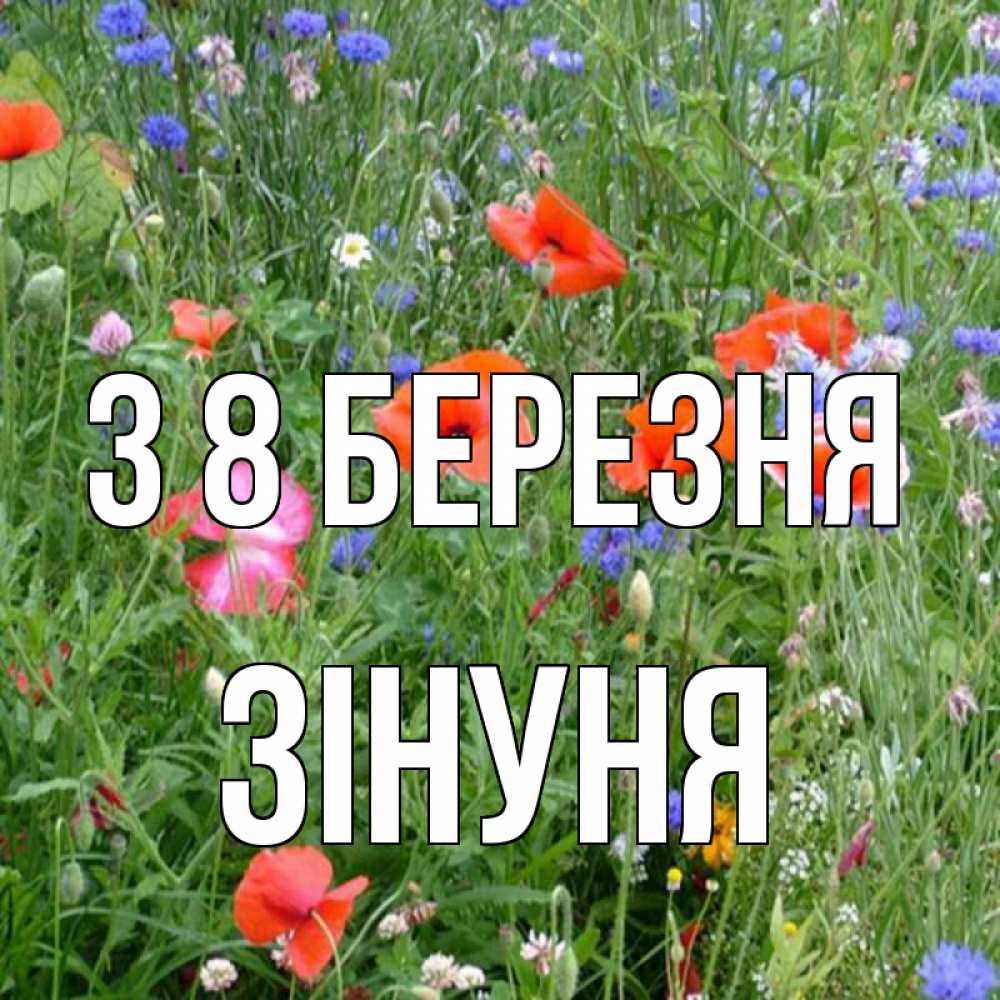 Открытка на каждый день з підписом, Зінуня З 8 БЕРЕЗНЯ международный женский день 4 Прикольна листівка з побажанням онлайн скачати безкоштовно 