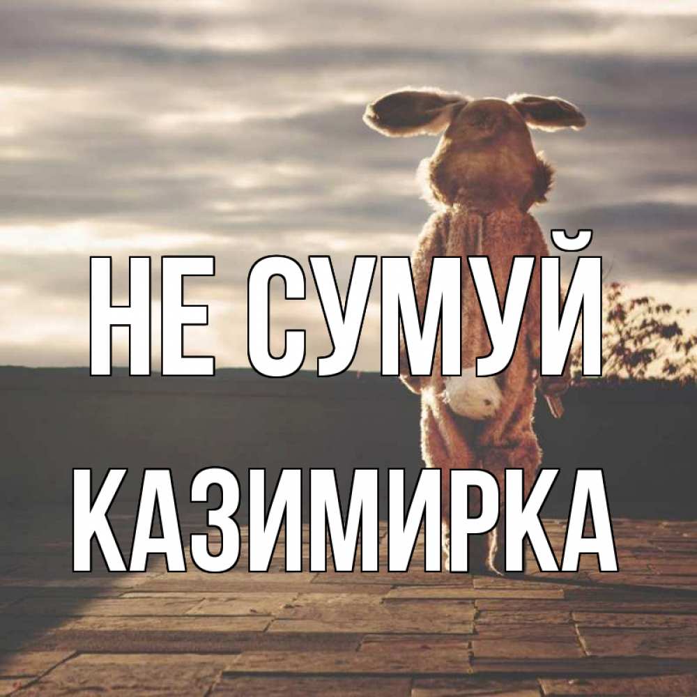 Открытка на каждый день з підписом, Казимирка Не сумуй со спины Прикольна листівка з побажанням онлайн скачати безкоштовно 
