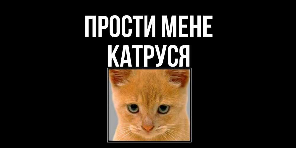 Открытка на каждый день з підписом, Катруся Прости мене рыжий грустный кот просит прощения Прикольна листівка з побажанням онлайн скачати безкоштовно 
