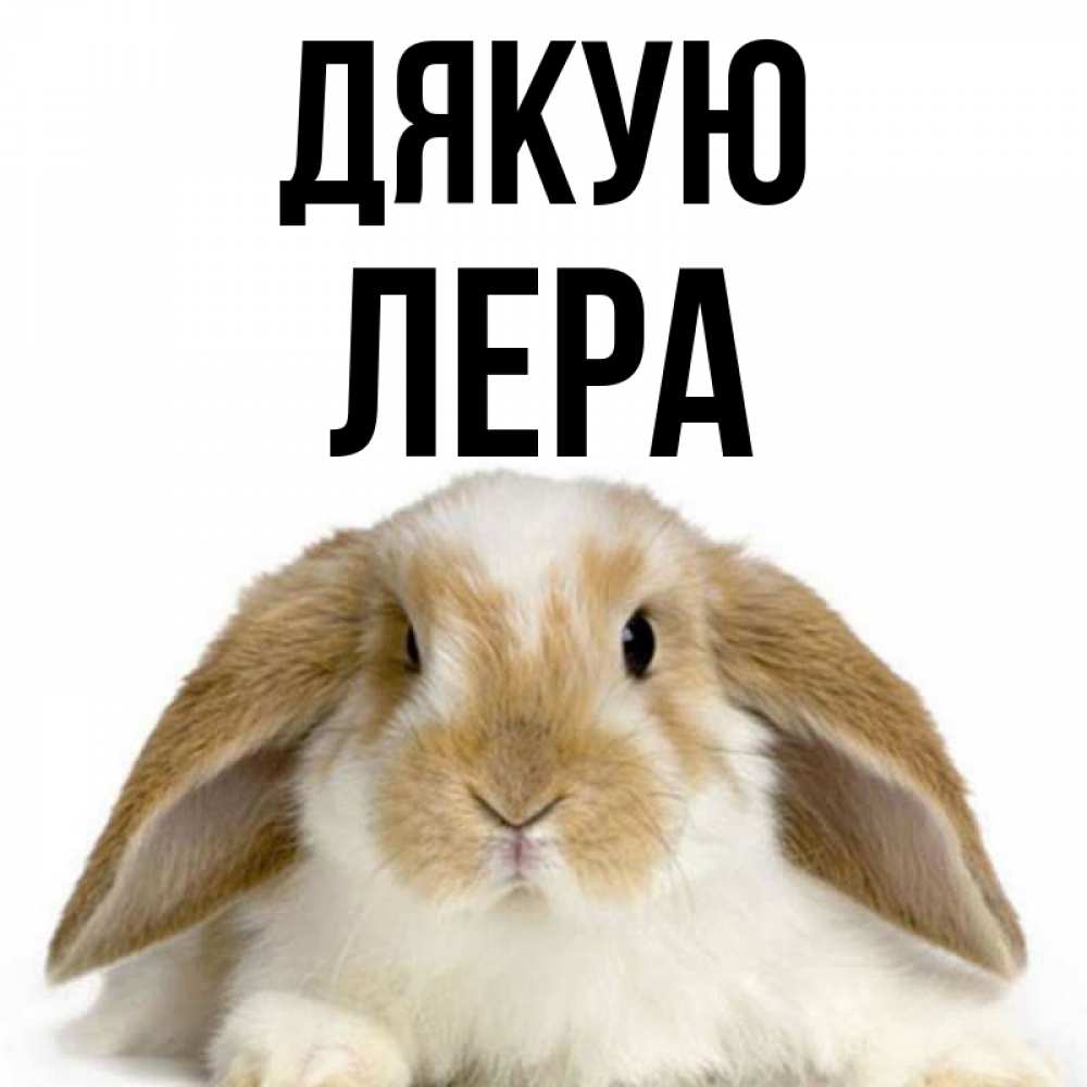 Открытка на каждый день з підписом, Лера Дякую коричнево белый заяц Прикольна листівка з побажанням онлайн скачати безкоштовно 