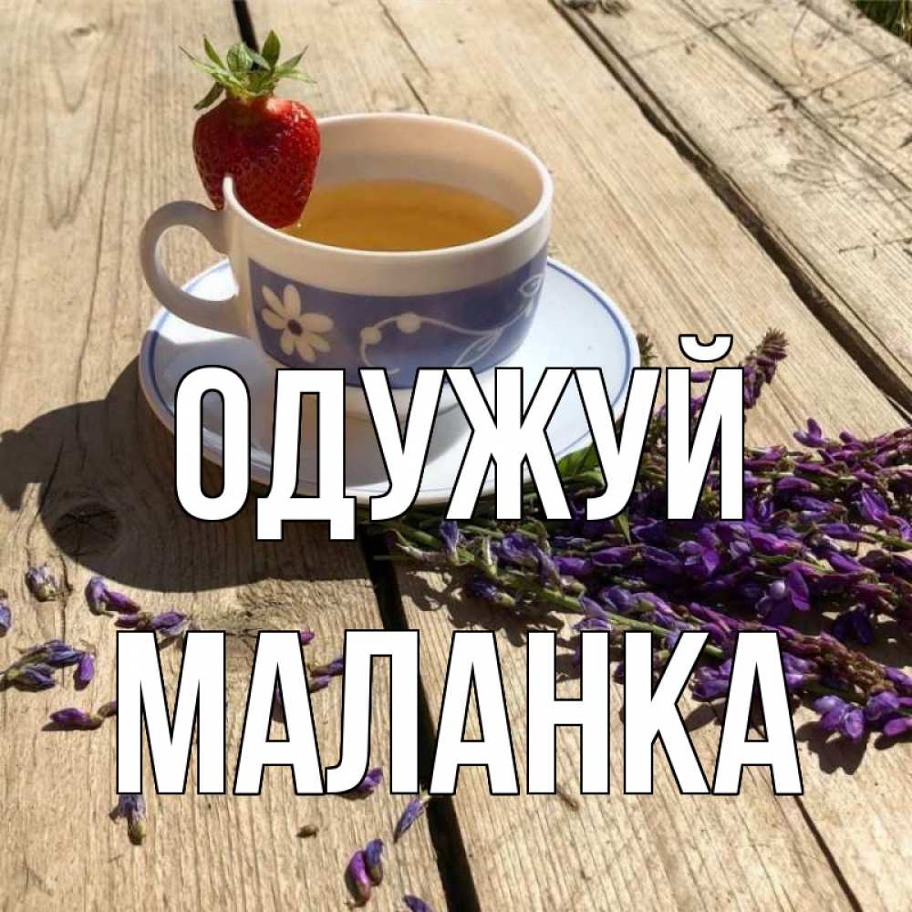 Открытка на каждый день з підписом, Маланка Одужуй чай Прикольна листівка з побажанням онлайн скачати безкоштовно 