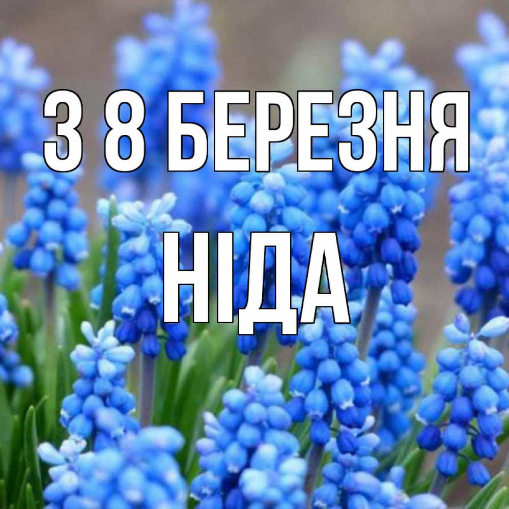 Открытка на каждый день з підписом, Ніда З 8 БЕРЕЗНЯ Поздравительная открытка для женщин с цветами на праздничную дату Прикольна листівка з побажанням онлайн скачати безкоштовно 