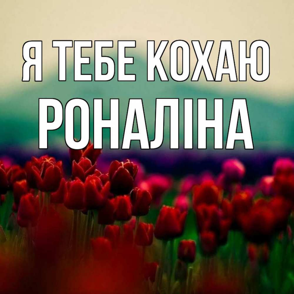 Открытка на каждый день з підписом, Роналіна Я тебе кохаю тюльпаны 4 Прикольна листівка з побажанням онлайн скачати безкоштовно 