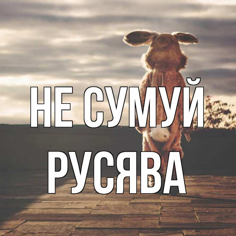 Открытка на каждый день з підписом, Русява Не сумуй со спины Прикольна листівка з побажанням онлайн скачати безкоштовно 